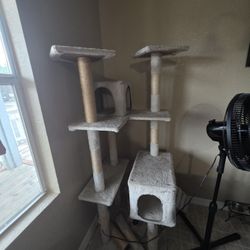 Cat Tree 