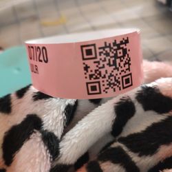 Cal Expo Ticket 