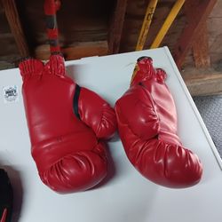 Everlast 14oz Boxing Gloves 