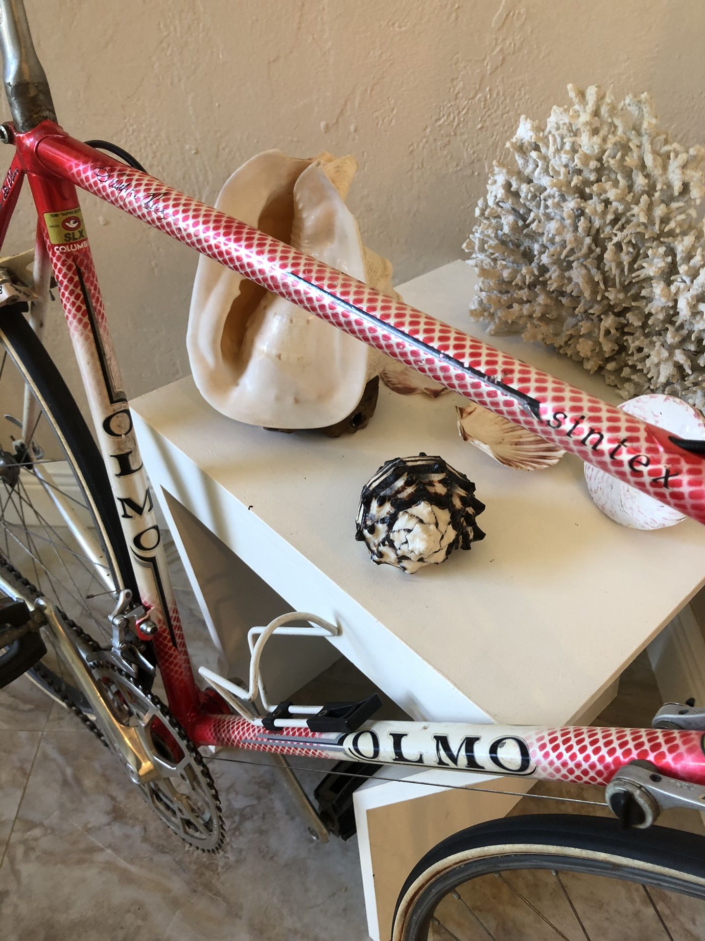 OLMO SINTEX !!! ATTENTION COLLECTORS !!!