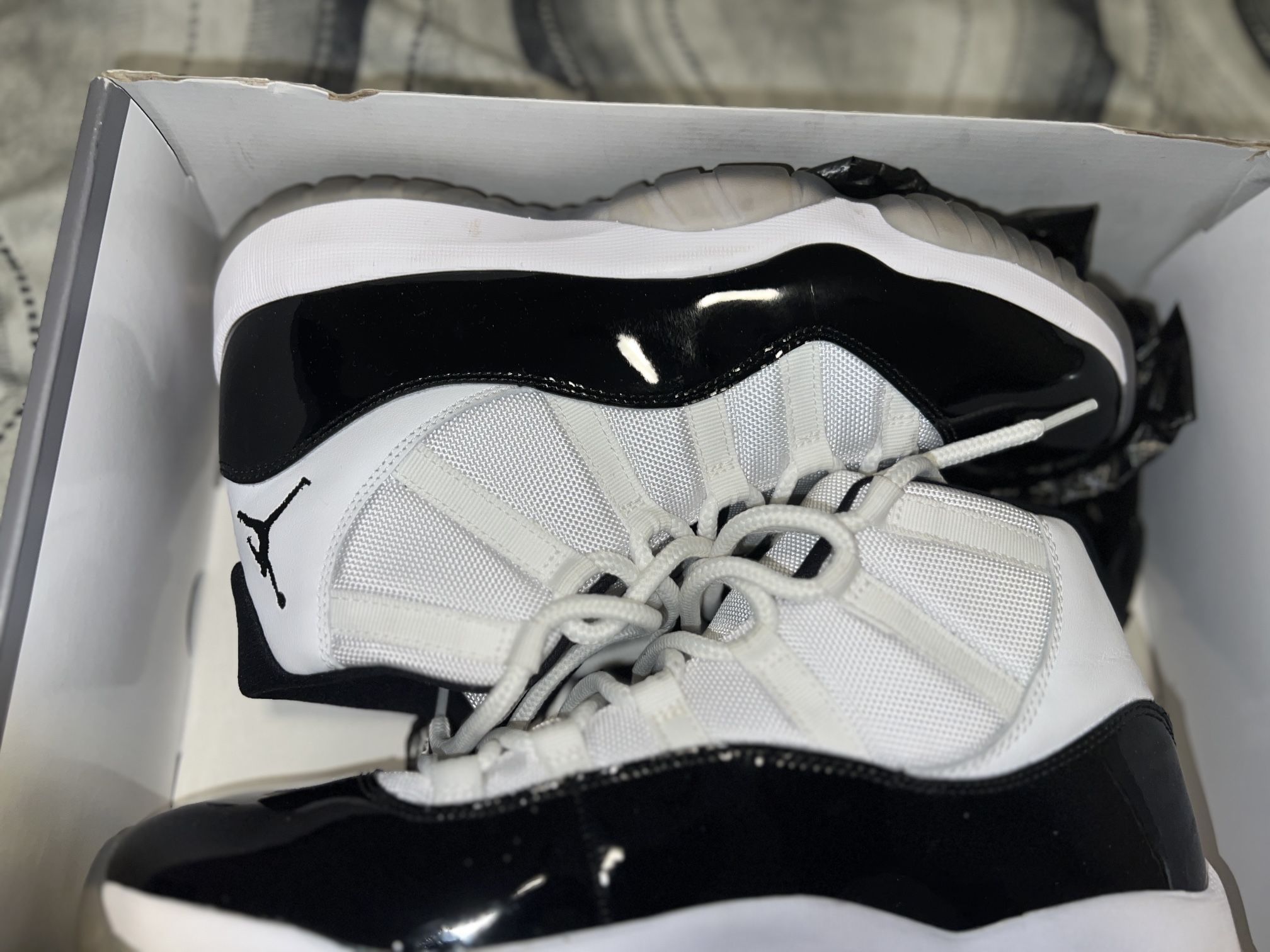 Jordan’s ( Concords 11’s)