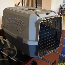 Medium Sized Pet Carrier