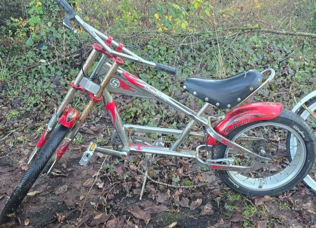 STINGRAY BIKE