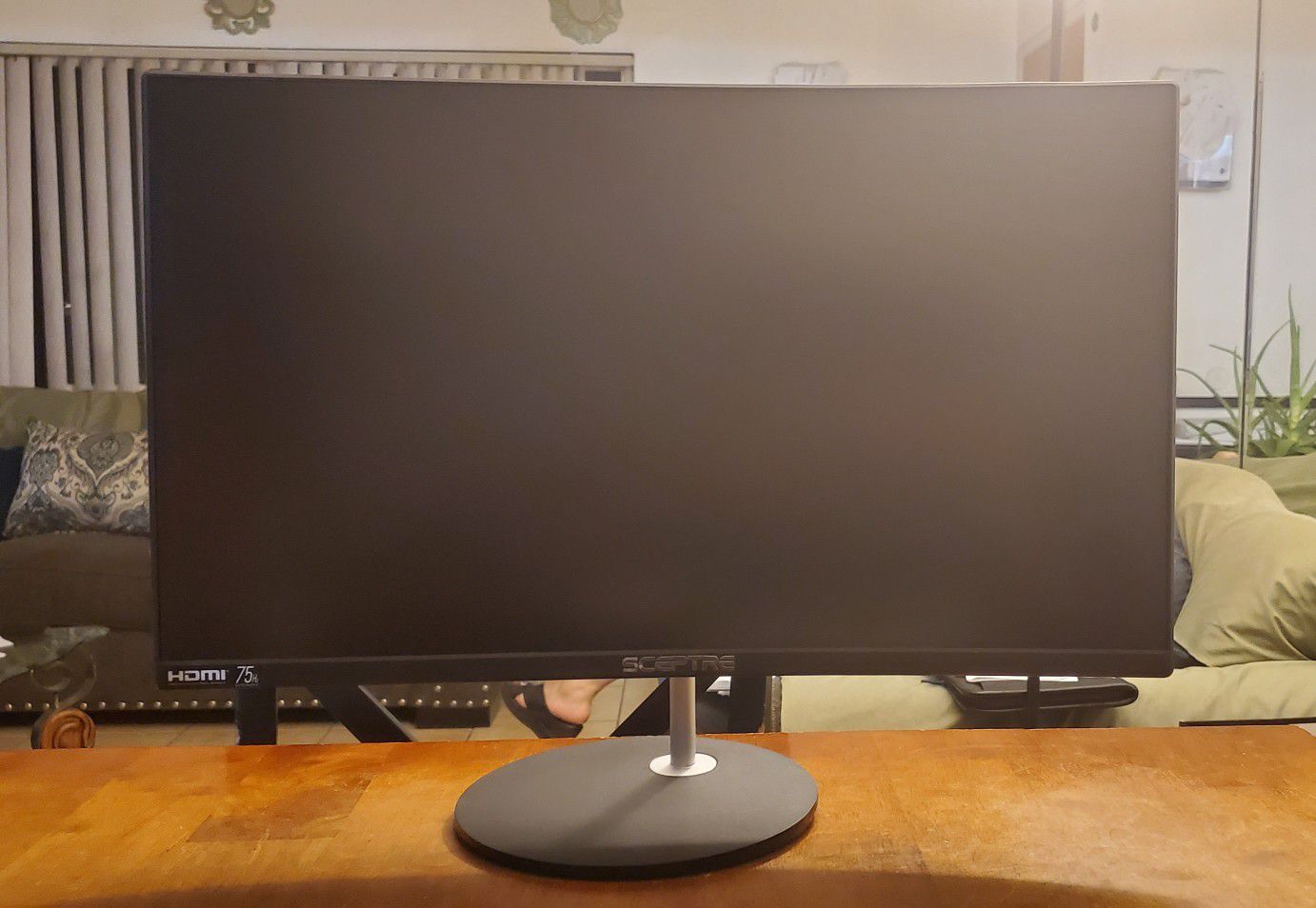 Sceptre Curved Monitor