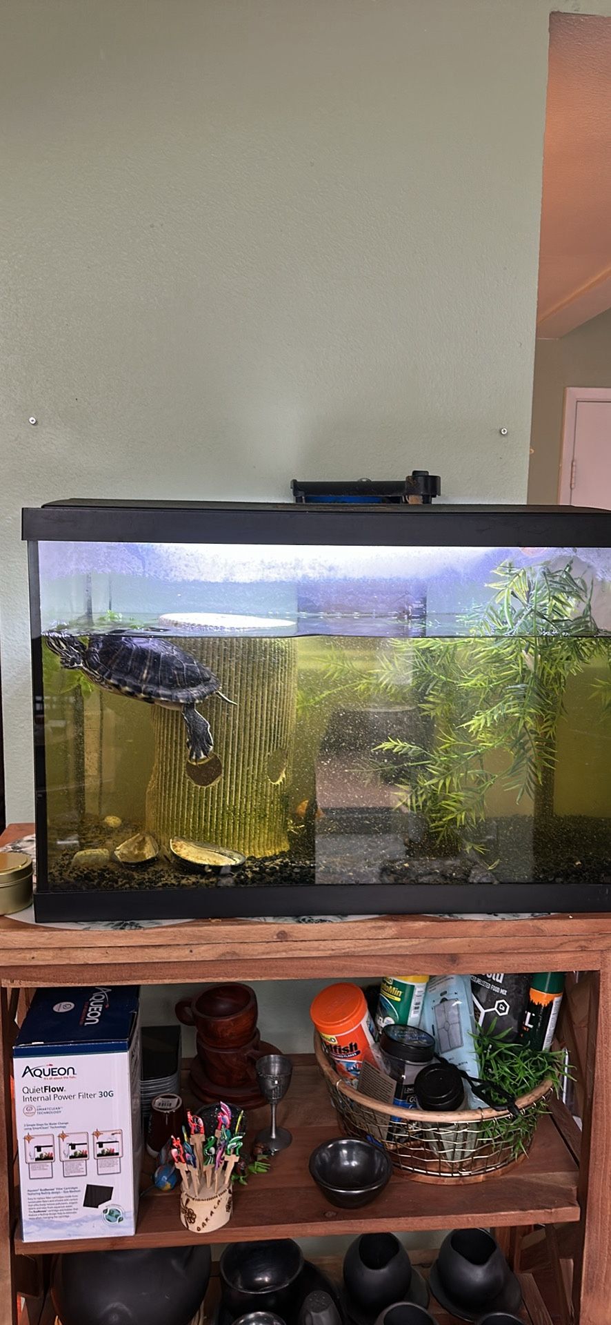 15 gallon fish tank