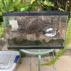 10 gallon terrarium with Background And Substrate 