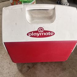 Lunchbox/ Cooler 