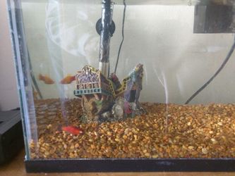 Marineland fully loaded 10 galon Fish tank