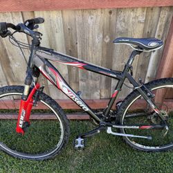 Insera Mountain Bike (Need Out ASAP)