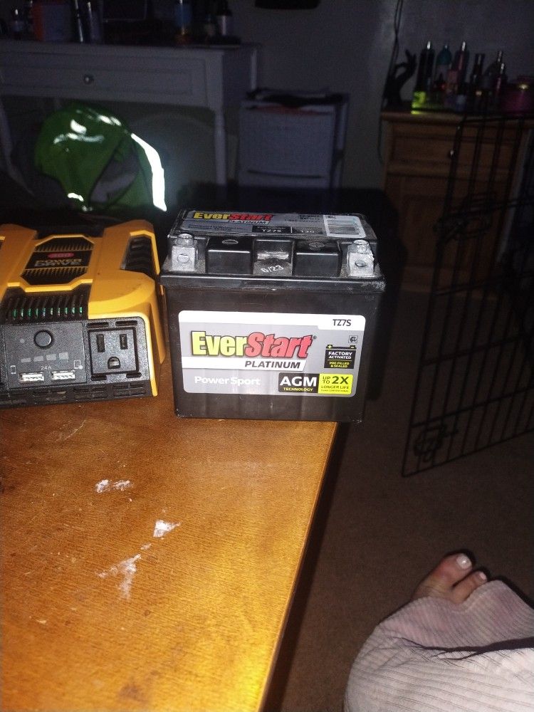 Batter Platinum 12 Volt