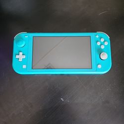 Nintendo Switch Lite And Accesories 