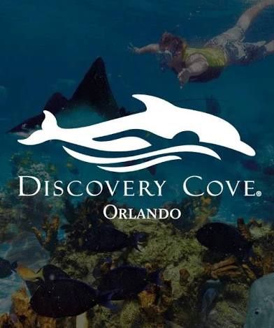 Discover Cove DAY PACKAGE
