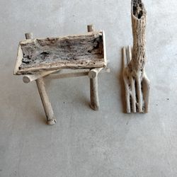 Cholla Plant Items For The Home