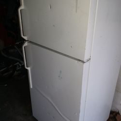 Garage Fridge