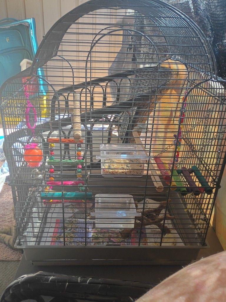 Bird Cage, With Toys And Food For Parakeet