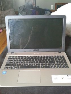Asus vivobook max laptop