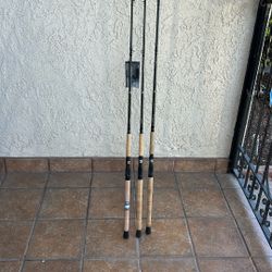 Shimano Teramar Fishing Rod