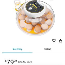18 Egg Incubator