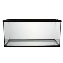 40 Gallon fish Tank