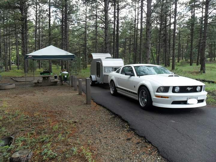 2009 Ford Mustang