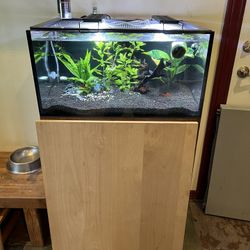 Innovative Marine Fish Tank Aquarium