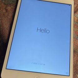 iPad mini 2