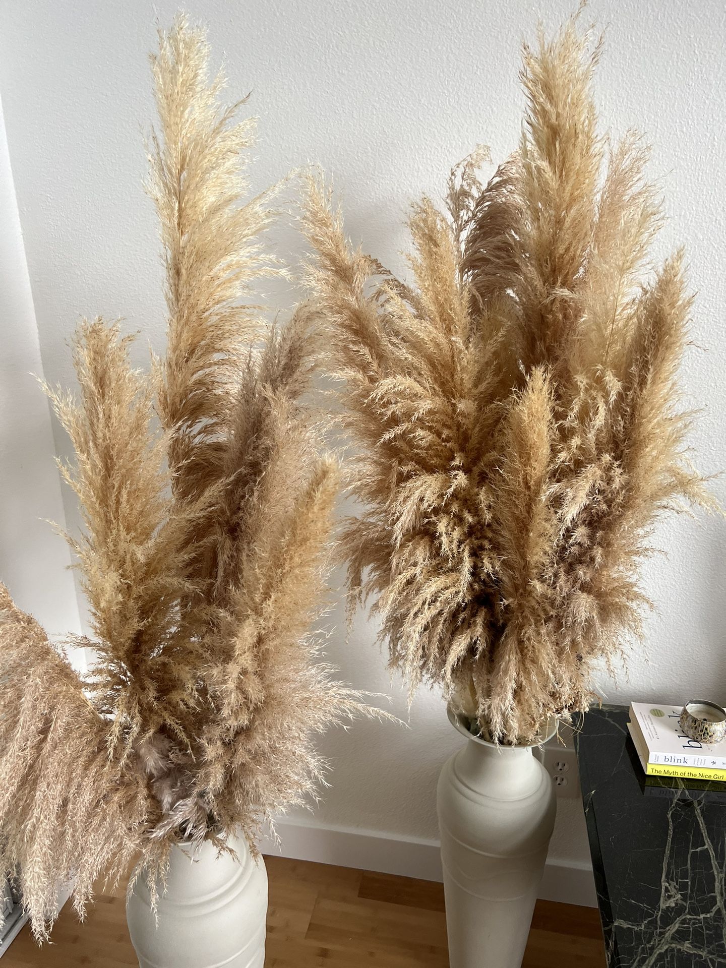 Large Naturally Grown Pampas - 15 Stems