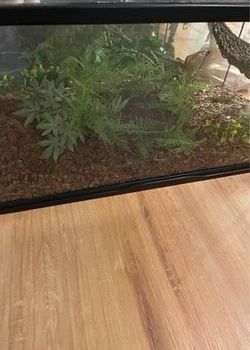 2 40 Gal Breeder Reptile Tanks
