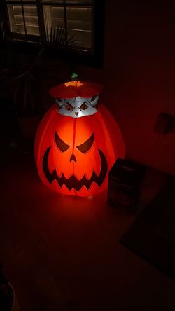 Spirit Animated Pumpkin Cat