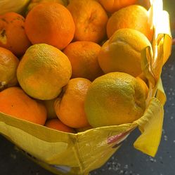 Naranja agrias organicas