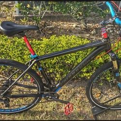 Cannondale 29 