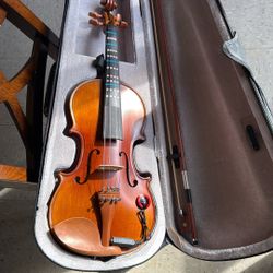 Violin Acuático Y Eléctrico 