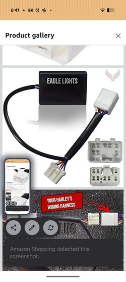 Eagle Lights Equalizer Plug and Play Load Equalizer and Stabilizer for Harley Davidson Motorcycle LED Turn Signals