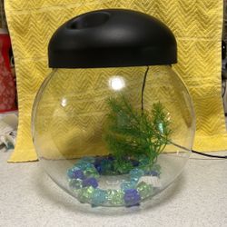 Fish Bowl With Lights