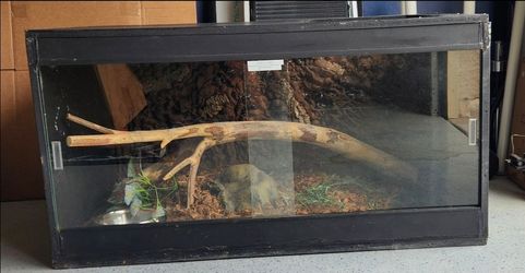 Reptile/Snake Enclosures, Shelves and Accessories