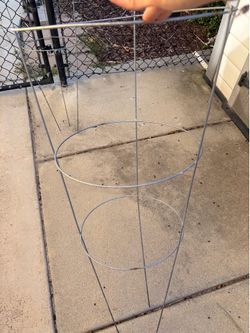 Tomato cages
