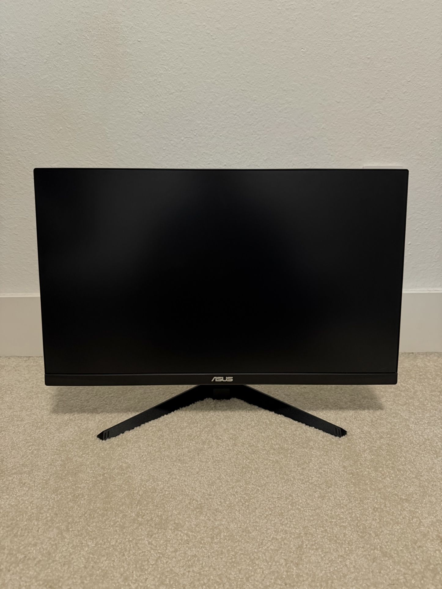 Asus 1080p 165Hz Monitor