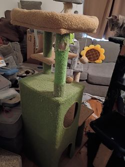Cactus cat stand