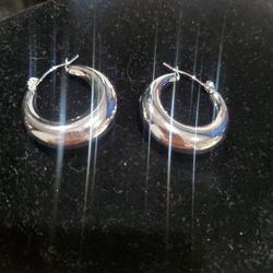Stainless Steel Earrings 