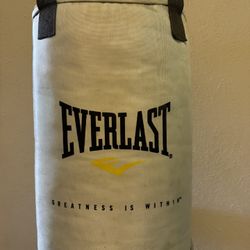 Everlast Heavy bag