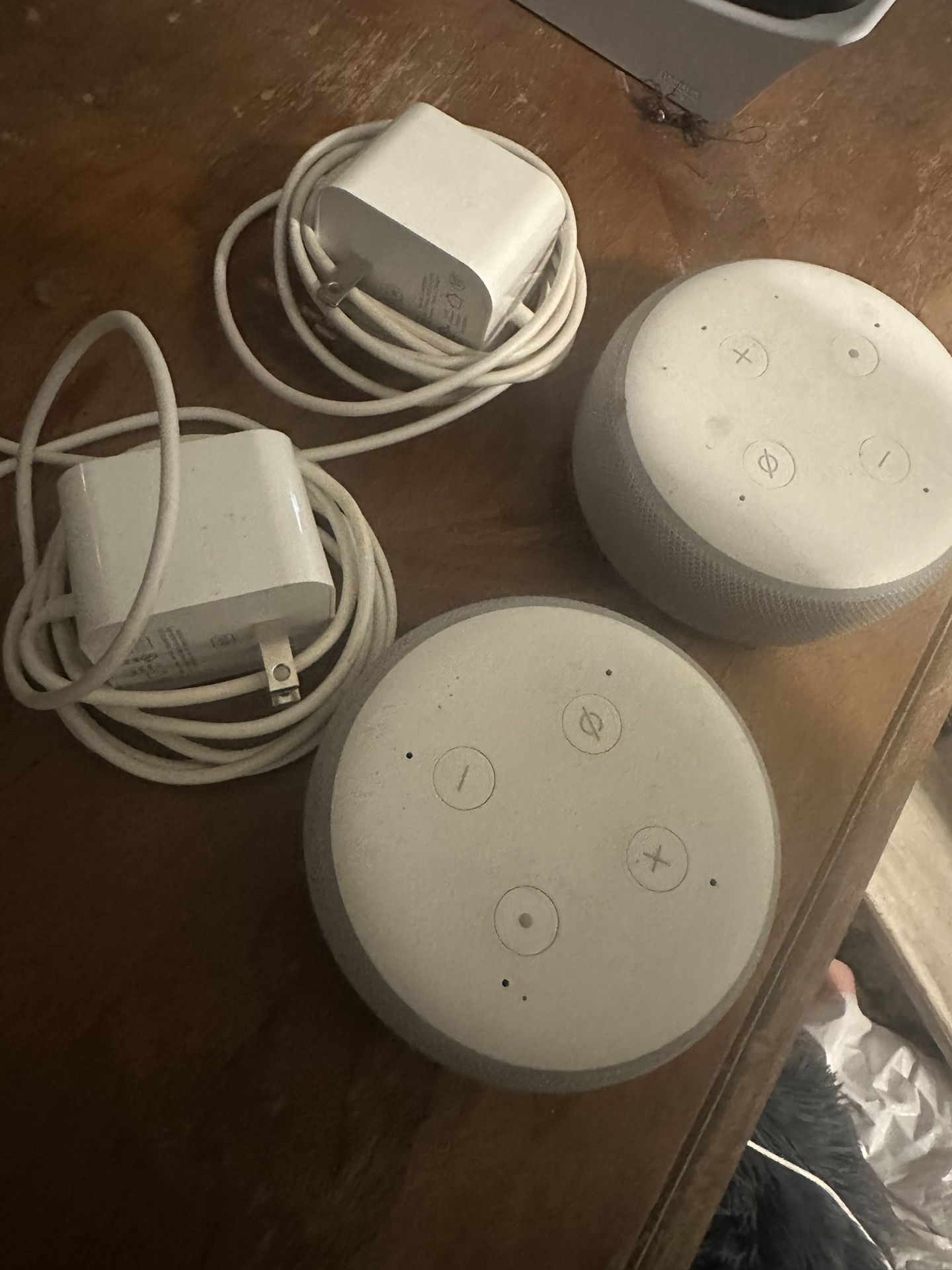Echo Dots