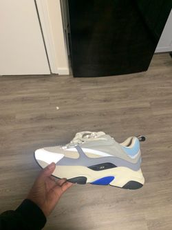 Dior b22