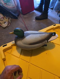 Mallard Decoys