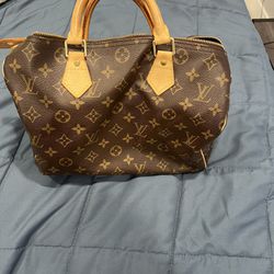 Louis Vuitton Purse / Bag 