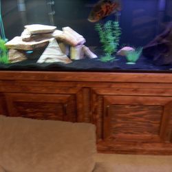 120 Gallon Tank and Stand