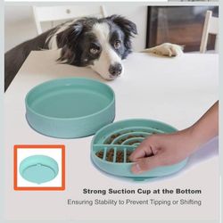 Feeding dish set for small and medium dogs and cats