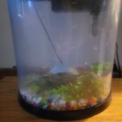 TopFin 3.5 Gal Fish Tank. 