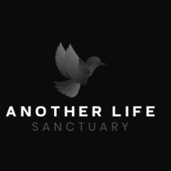 Fish Tanks Fish Reptiles Encloser Sanctuary Free