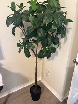 artificial plant
