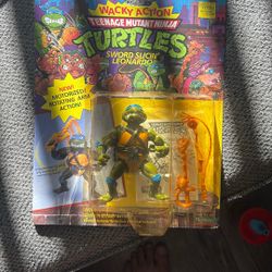 Teenage Mutant Ninja Turtles